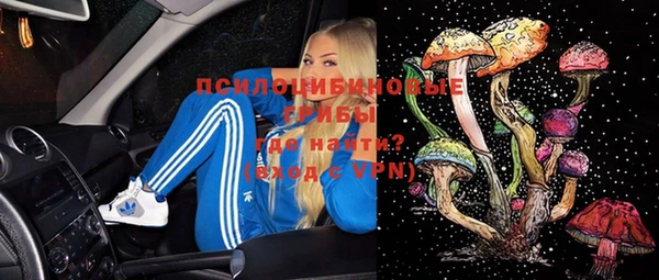 амф Арсеньев