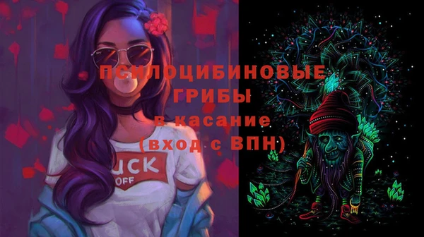 МДПВ Аркадак