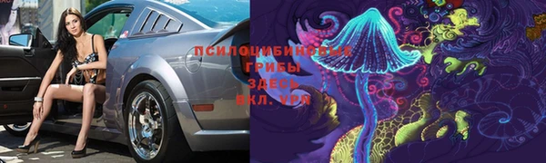 МДПВ Аркадак