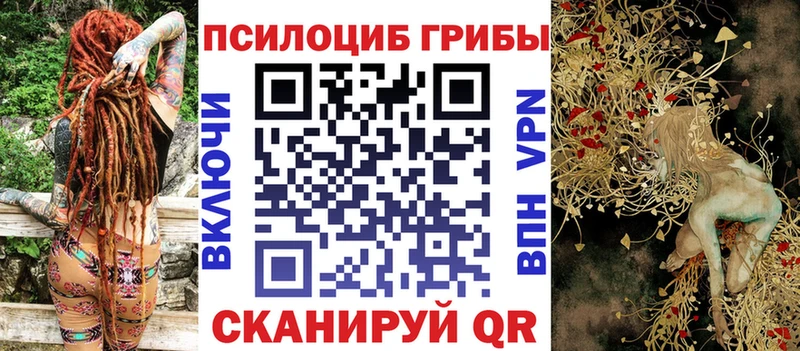 Псилоцибиновые грибы ЛСД  Купить  Кондрово 