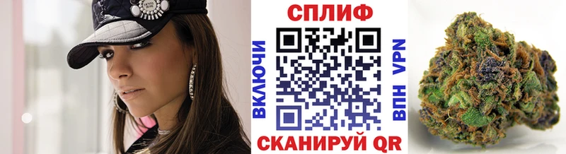 Купить закладки  Кондрово  Бошки марихуана конопля 
